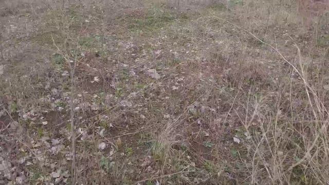 Немного о хозяйстве смотреть онлайн