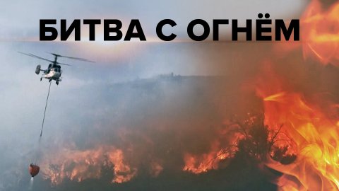 На линии огня: в Испании пожары за несколько дней уничтожили более 13 тысяч гектаров леса