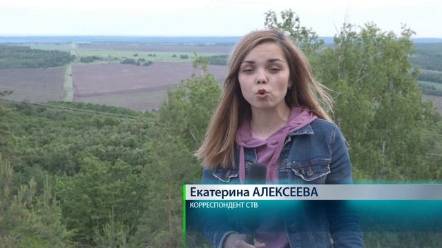 Шигонский район