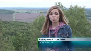 Шигонский район