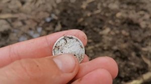 ВСКРЫЛ ДЕРЕВЕНСКИЙ ТРАКТИР?️ С СЕРЕБРОМ! 200 ЛЕТ ЛЕЖАЛИ ПОД ПОЛОМ! Коп поиск монет металлоискателем