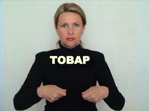 ЖЕСТОВЫЙ ЯЗЫК. СЛОВАРЬ. Товар