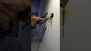 Соединие проводов с помощью сварки.