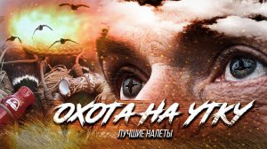 Охота на утку - лучшие налеты | Duck Hunting Schoolhunter