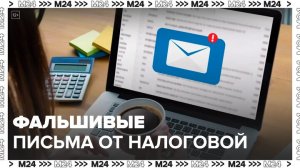 ФНС предупредила о рассылке мошенниками писем от лица налоговой - Москва 24
