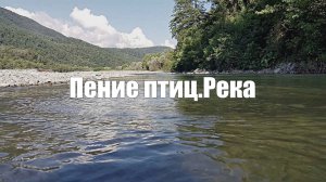 Видео 1 час Пение птиц. Река для глубокого сна, релаксации, медитации.