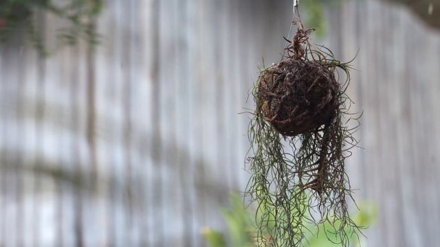 Relaxing Piano Music with Rain sound , Romantic Music, Meditation Music, Sleeping music, Study Musi смотреть онлайн