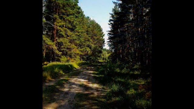 Моя Родина Россия... смотреть онлайн