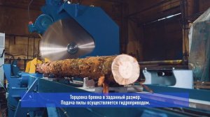 Автоматическая линия раскряжевки (торцовки) бревен