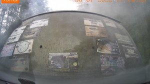 30.07.2022. Рептилка. Реквием.