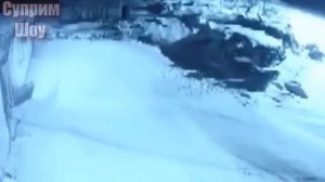 2 КАНГАЛА Против Волков, КАНГАЛ В ДЕЛЕ!