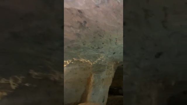 Летучие мыши на Кубе.Остров Кайо-Коко.Пещера. Bats in Cuba, Cayo Coco Island, Cave