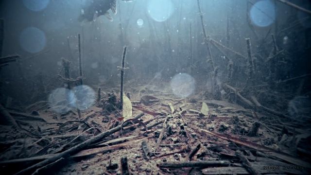 ЩУКА НАПАЛА НА КАМЕРУ! Реакция рыбы на СЫРОК КАРТОШКА. Подводная съемка смотреть онлайн