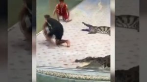 Крокодил съел человека