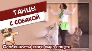 Танцы с собаками. Особенности этого вида спорта