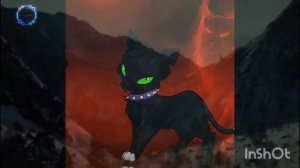 КРИК ЗДЕЛАЛ плахих КАТОВ.            (КАТЫ ВАИТЕЛИ).