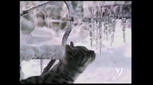 Зимняя реклама Whiskas (Семёрка, 2011) Звукозамена c рекламой 2017 года