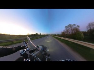 Бэмби. 03052024