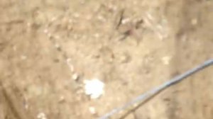 Поиск подземных коммуникаций при помощи георадара RIS-MF