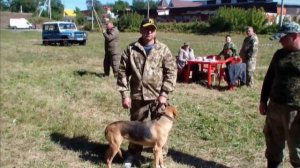 Выставка охотничьих  собак в Валуйках, 2022 год.