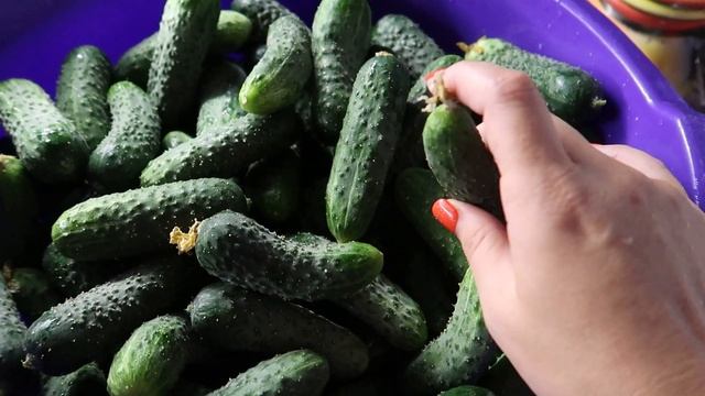 Заготовки на зиму/Готовим аджику/ Консервируем огурчики/Мотивация на консервацию