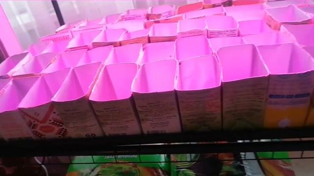 Весенняя подготовка рассады. смотреть онлайн