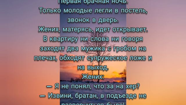 Анекдоты