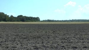 ПОИСК МОНЕТ С НОВЫМ ДАТЧИКОМ. МЕТАЛЛОИСКАТЕЛЬ КВАЗАР АРМ.