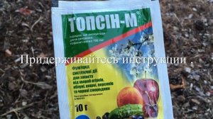 ❣️ Спасение Брусники ❣️