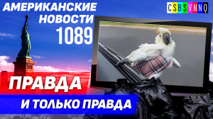 CSBSVNNQ Американские новости — выпуск #1089 от 21.08.2023