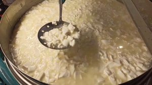 Сыр качотта простой и быстрый рецепт сегодня варим дома из молока на собственной сыроварне Тремасов