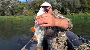 Эта насадка ещё работает  и неплохо. Ловля в проводку в середине сентября.