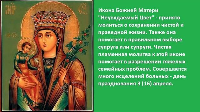 Все Псалмы Давидовы. Хор братии Валаамского монастыря