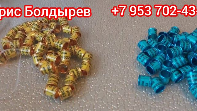 кольца для голубей смотреть онлайн