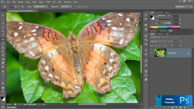 How to retouch with content aware patch tool | Photoshop CS6 Tutorials for beginners смотреть онлайн