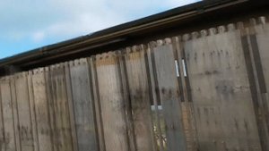 Как строить вольер для фазанов с нуля ЧАСТЬ 1. Разведение фазанов дома.