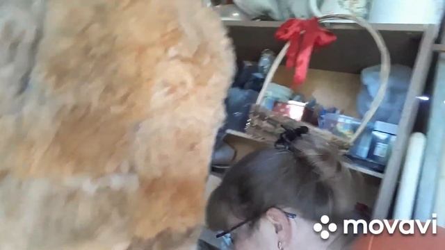Не сидим без дела ? #житьвКазани #огородныедела