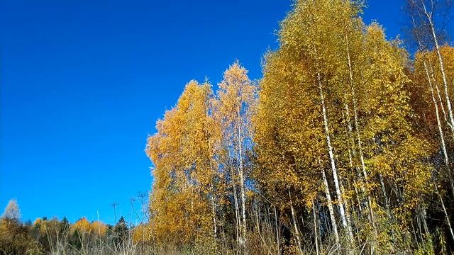 золотая осень смотреть онлайн