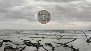нашид ❤ ин арадтум ❤  nasheed in aradtum очень хороший нашид☪☪