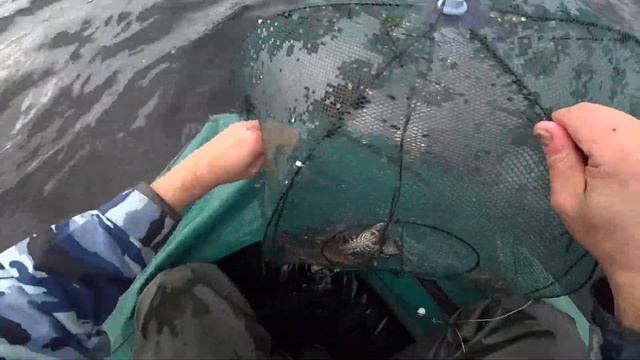 122 РАКА ЗА СУТКИ. МЫ В ШОКЕ. ПОЙМАЛИ ВЕДРО РАКОВ! смотреть онлайн