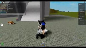 Ragdoll engine experimental (in roblox)