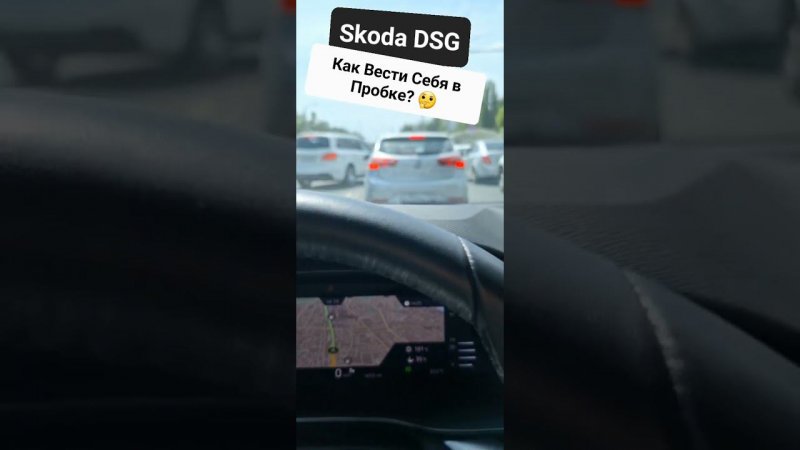 Skoda: DSG в Пробке (2024)