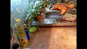 Курица целик сочная хрустящая на решетке барбекю над картошкой с корочкой и овощами в духовке  П
