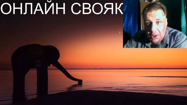 "Карантинная болтология" Выпуск №20 смотреть онлайн