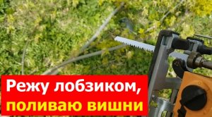 230420  Режу электро лобзиком поросль тополя резка опиловка электролобзиком Вихрь поливаю вишни сад