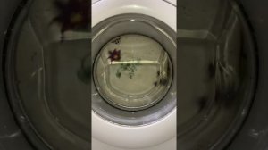 Zanussi FA822 final spin 800rpm