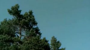 Океан Эльзы - Твои зелени очи