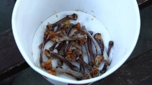 БЕСПРИЗОРНИК 9