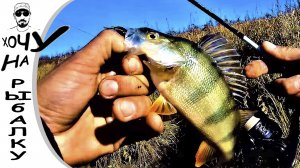 Закрытие сезона жидкой воды на протоке со спиннингом. Рыбалка 03.10.2019