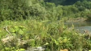 Остров Сахалин. Забытые дороги: Бошняково - Смирных